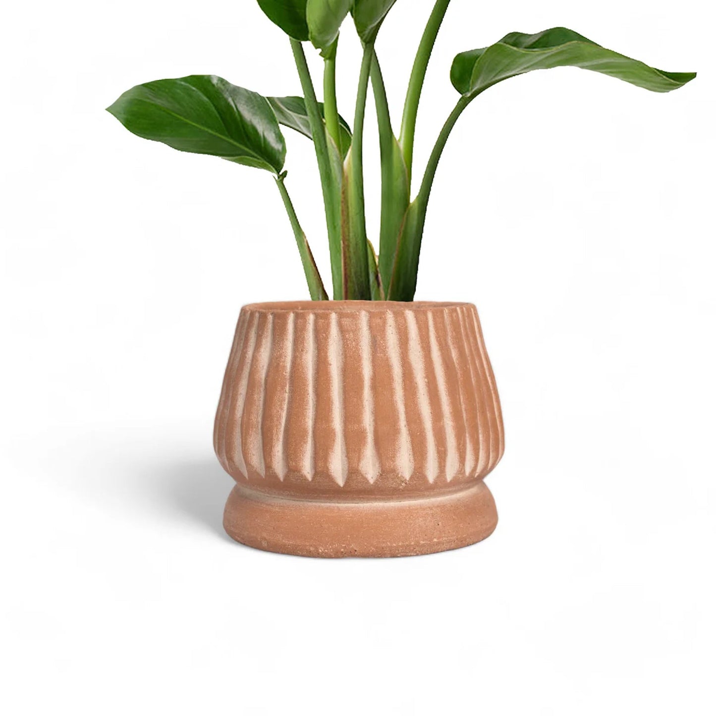 Sabanagrande Handcrafted Terracotta Planter